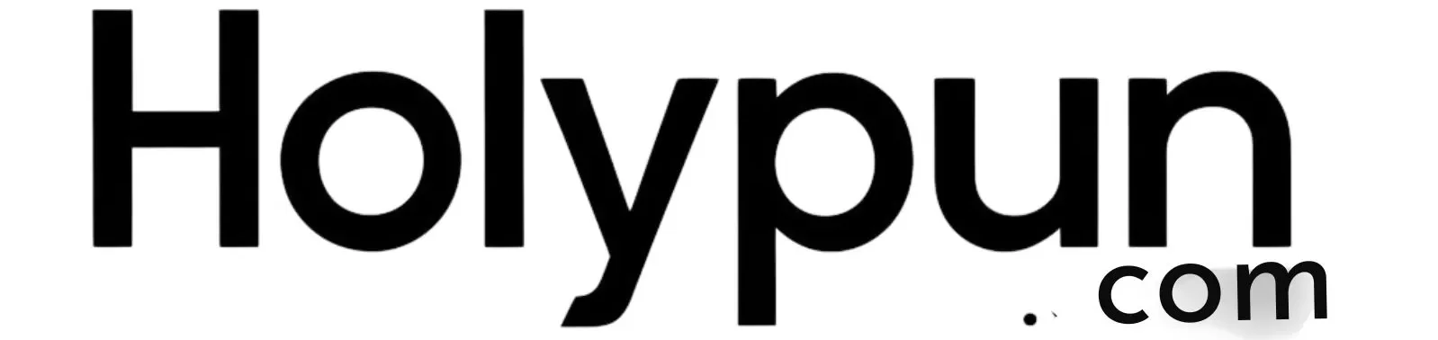 holypun.com