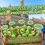 Brussels Puns